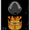 RAYSCAN Symphony Alpha Plus 120 M3DS - ортопантомограф с цефалостатом (OneShot) 30х25 см и компьютерным томографом 3D (4х12)*(3х10) см. фото № 6